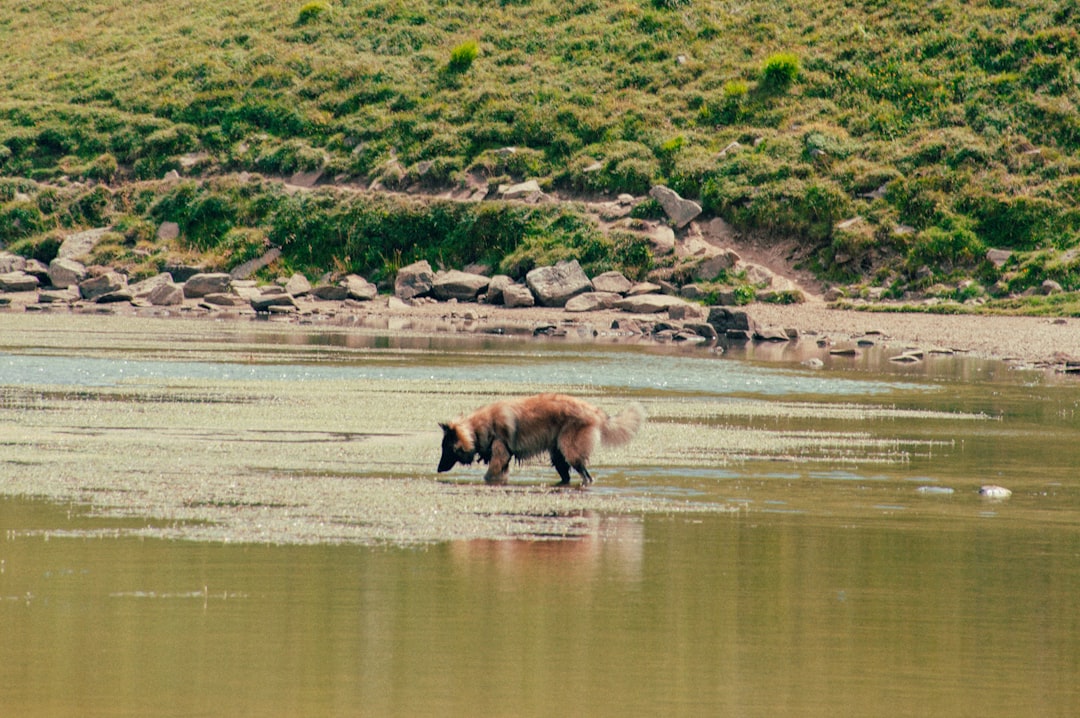 Abetone Cutigliano - Abetone Cutigliano