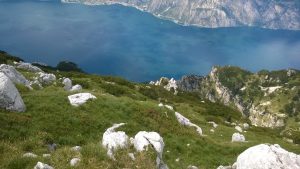 Altissimo - Altissimo