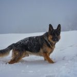 Arquata del Tronto - Arquata del Tronto