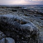 Barbariga - Barbariga