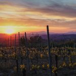 Barberino Tavarnelle - Barberino Tavarnelle