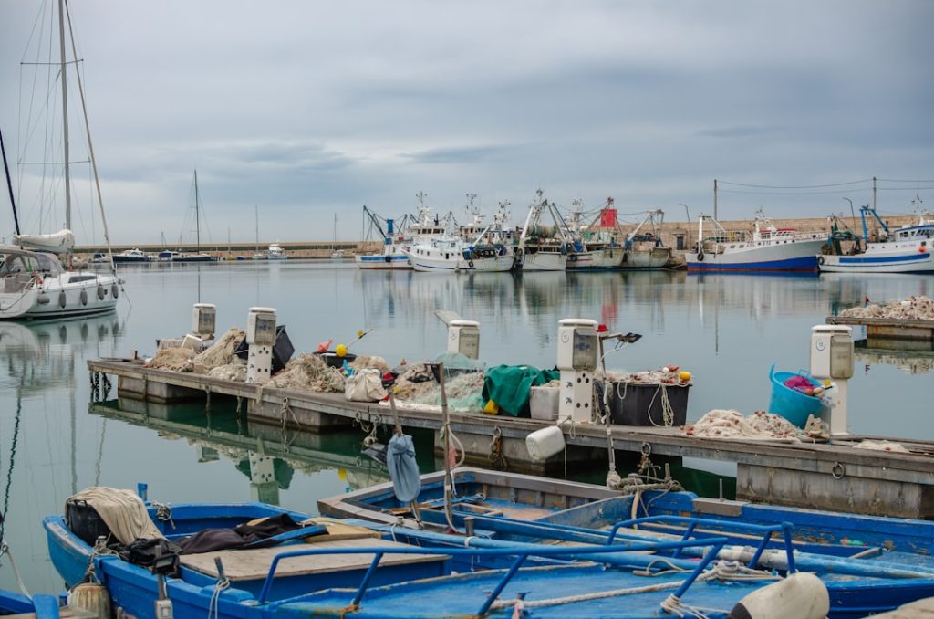 Bisceglie - Bisceglie