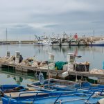 Bisceglie - Bisceglie