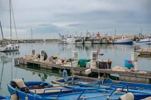 Bisceglie - Bisceglie