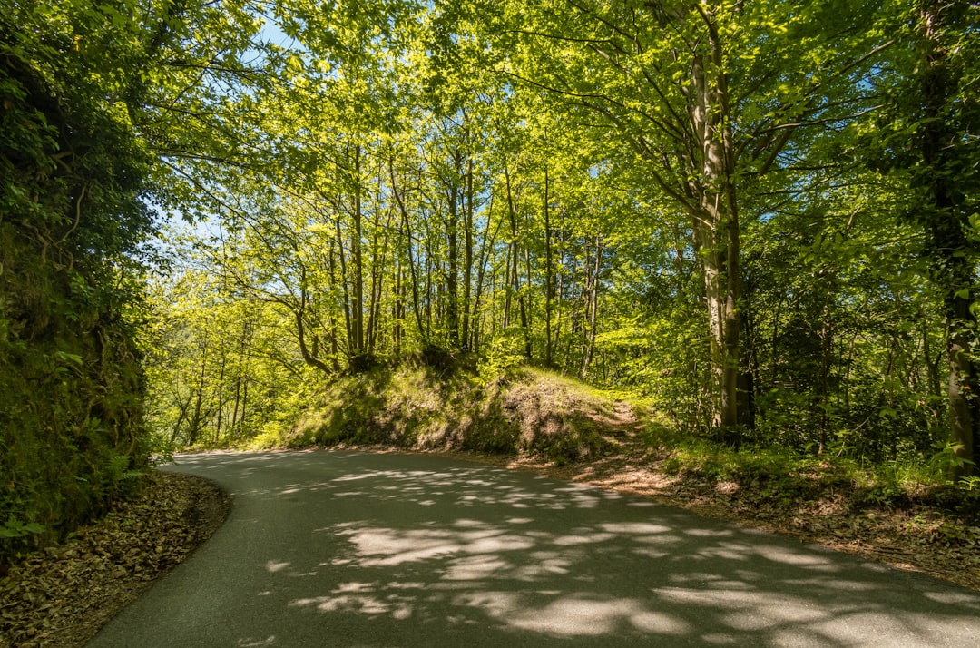 Campo Ligure - Campo Ligure