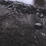 Carnevale di Fiumicello -