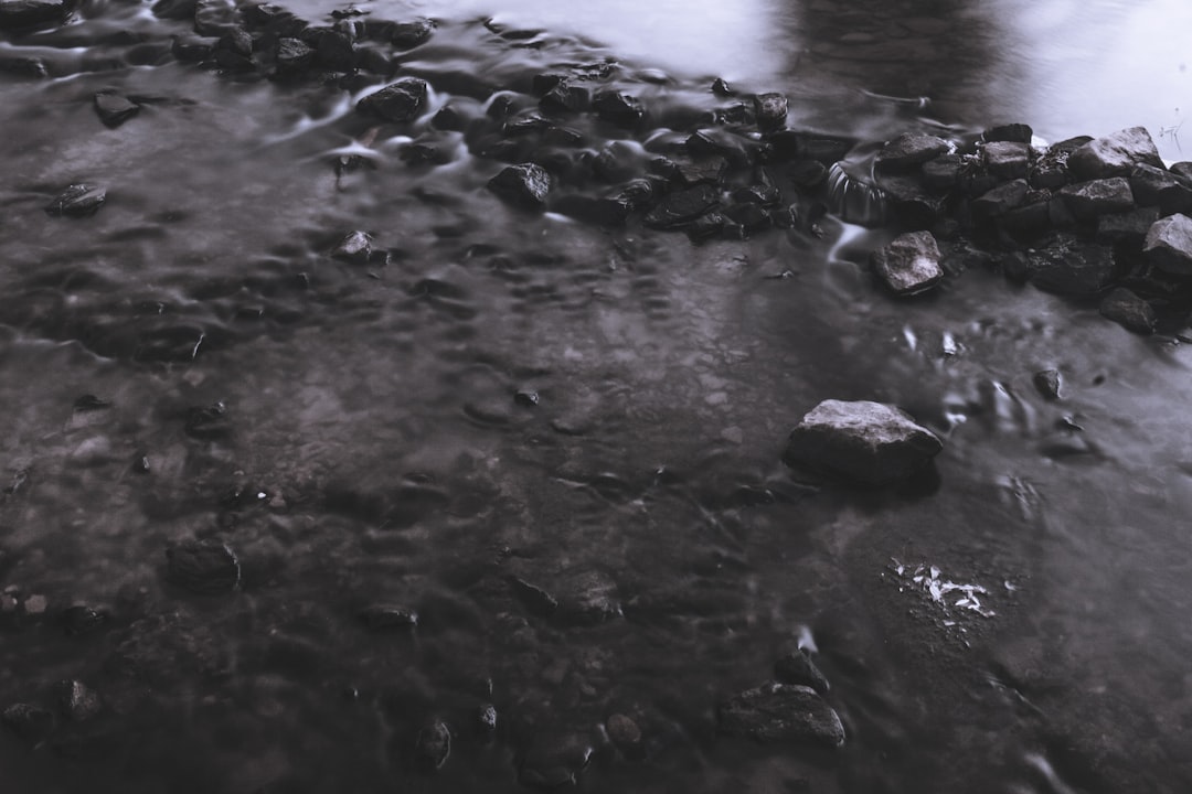 Carnevale di Fiumicello -