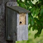 Carpineti - Carpineti