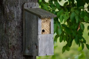 Carpineti - Carpineti