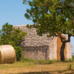 Castellana Grotte - Castellana Grotte