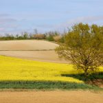 Castelletto Monferrato - Castelletto Monferrato