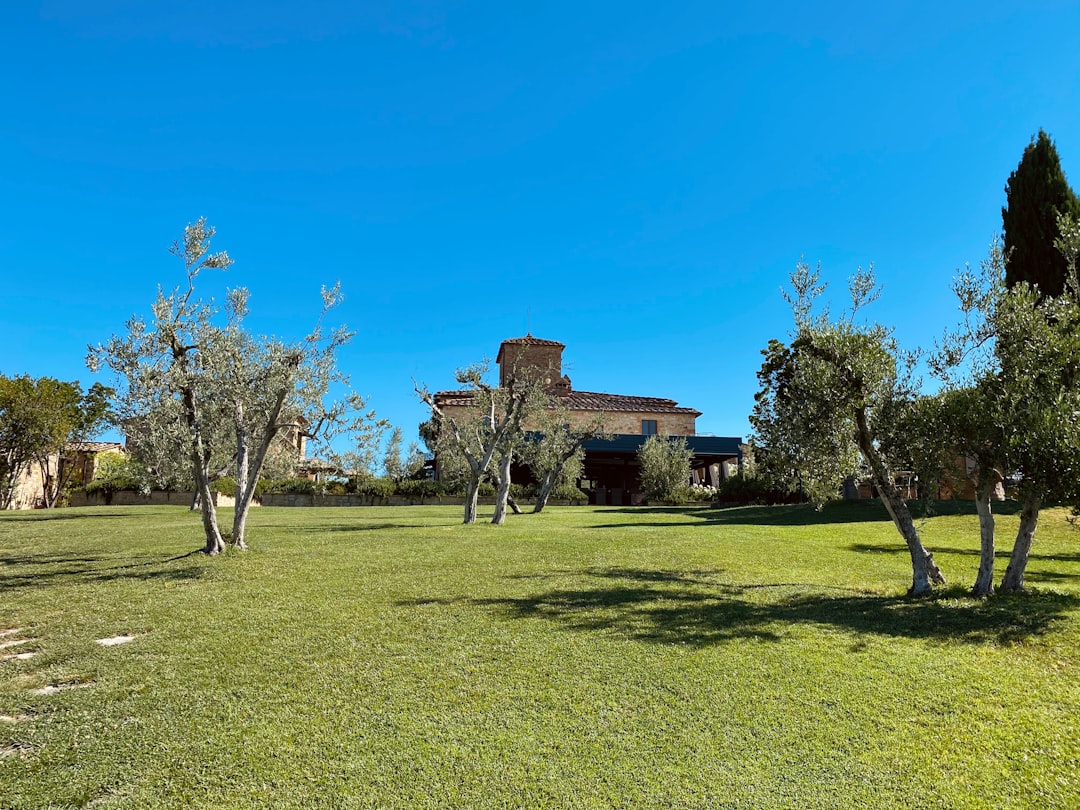 Castellina in Chianti - Castellina in Chianti