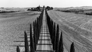 Castiglione d'Orcia - Castiglione d'Orcia