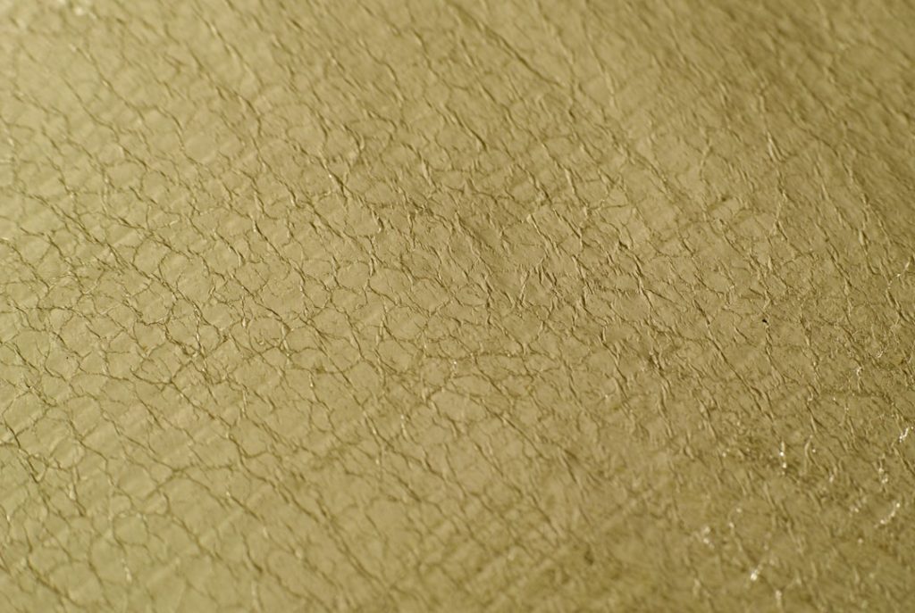 Cavallucci di Siena -