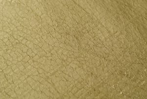 Cavallucci di Siena -