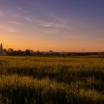 Cena in una trattoria con forno a legna per la cottura della carne a Noci e Putignano. - Cena in una trattoria con forno a legna per la cottura della carne a Noci e Putignano.