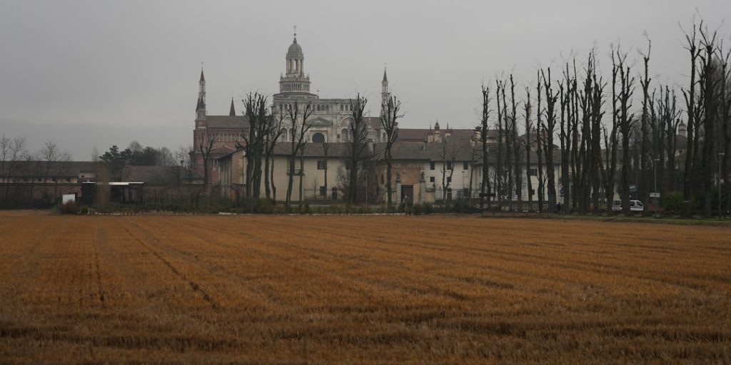 Certosa di Pavia - Certosa di Pavia