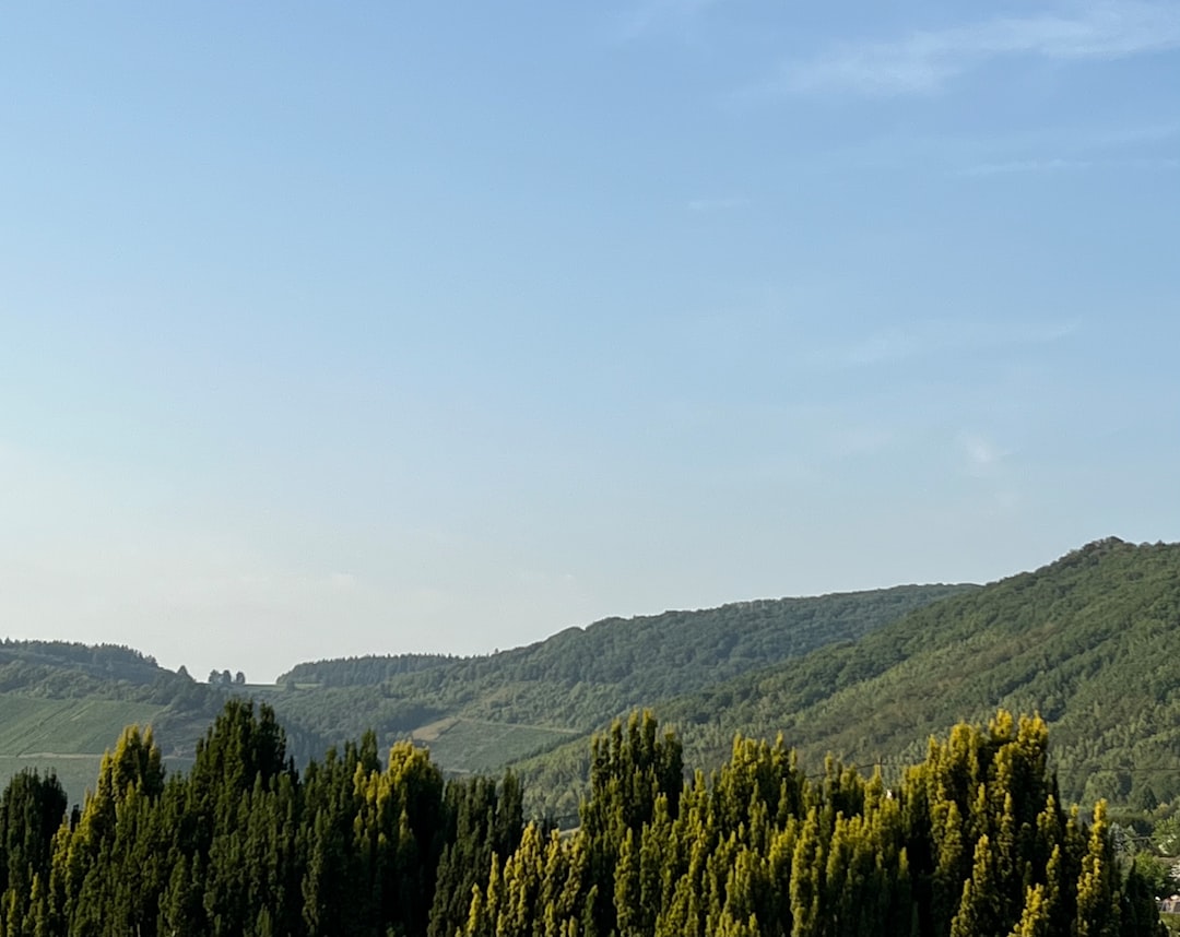 Cirigliano - Cirigliano