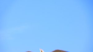 Comeglians - Comeglians