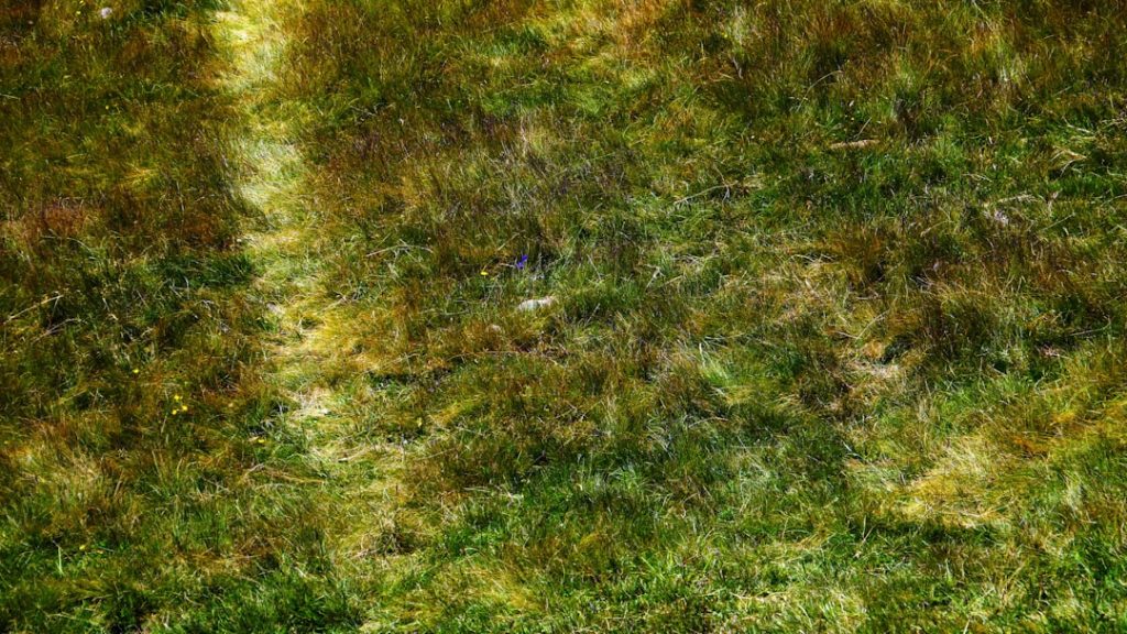 Comune di Ginestra degli Schiavoni -