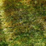 Comune di Siurgus Donigala -