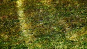 Comune di Siurgus Donigala -