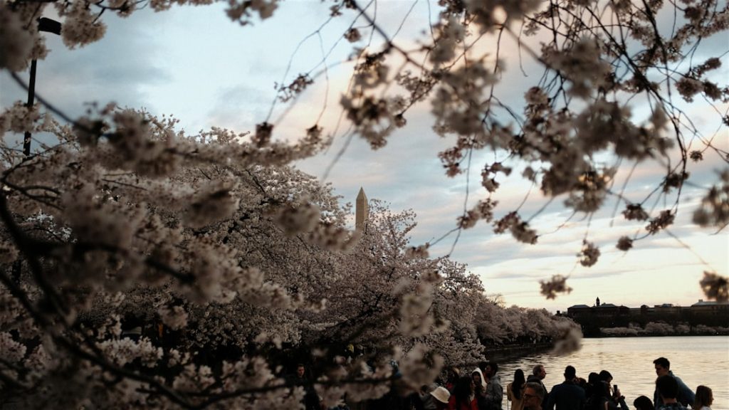Concerto di Primavera al Tempietto sul Clitunno -