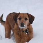 Corte Brugnatella - Corte Brugnatella