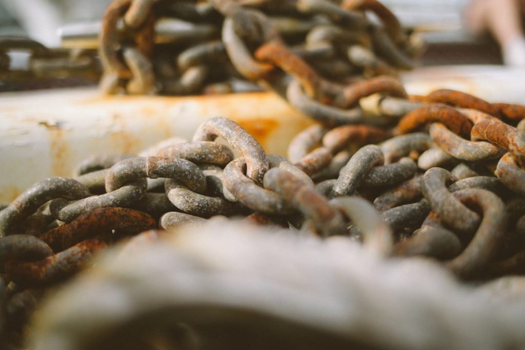 Dove assaggiare la cassoeula milanese nei mesi invernali: trattorie e osterie. -