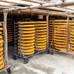 Dove comprare il formaggio Grana Padano DOP direttamente in cascina nella Bassa. -