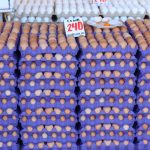 Dove comprare il salame d'oca di Mortara direttamente dai norcini. 2026 -