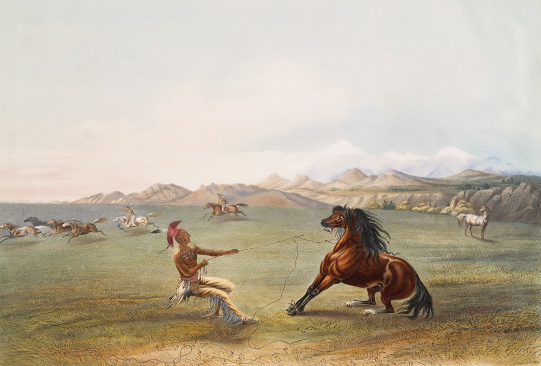 Equitazione (maneggi in pianura e collina) -