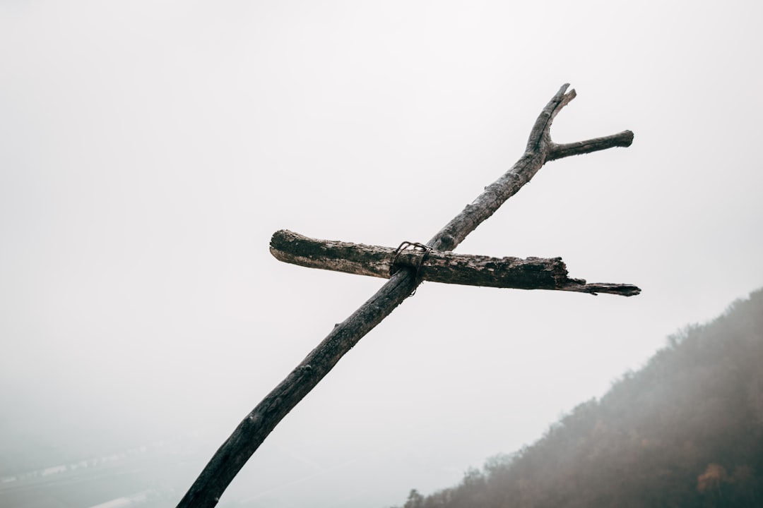 Fai della Paganella - Fai della Paganella