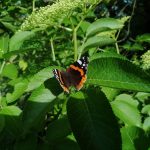 Fara Gera d'Adda - Fara Gera d'Adda