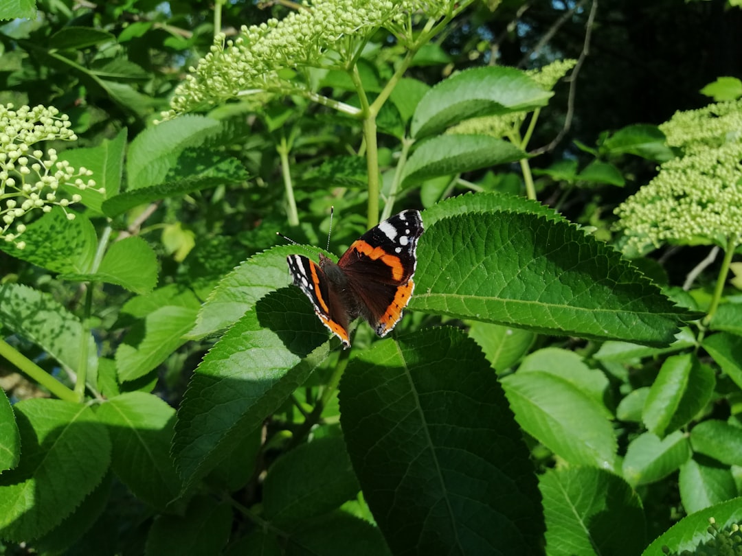 Fara Gera d'Adda - Fara Gera d'Adda