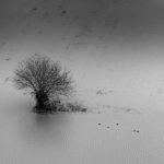 Felizzano - Felizzano