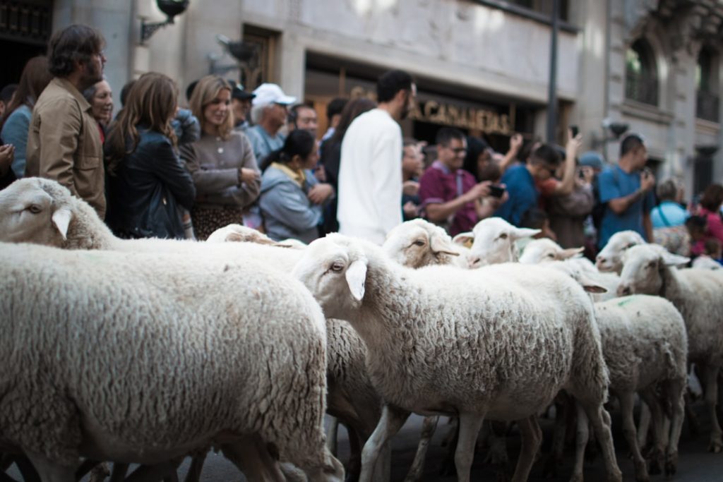 Festa del Lambrusco a Modena -