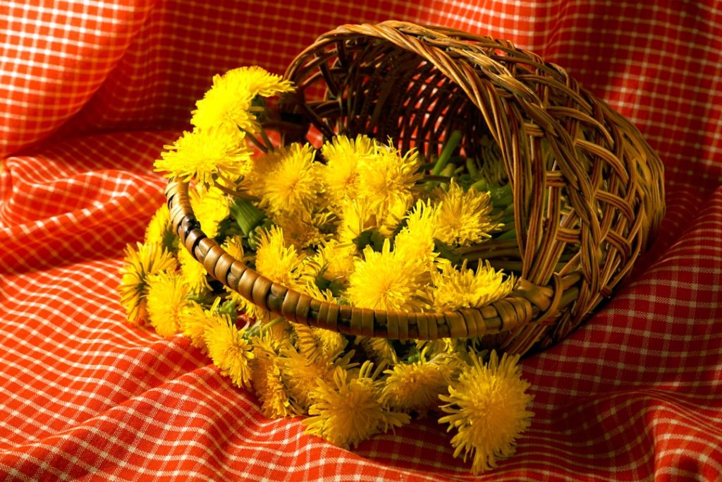 Festa della Calabria - Catanzaro (2 giugno) - Festa della Calabria - Catanzaro (2 giugno)