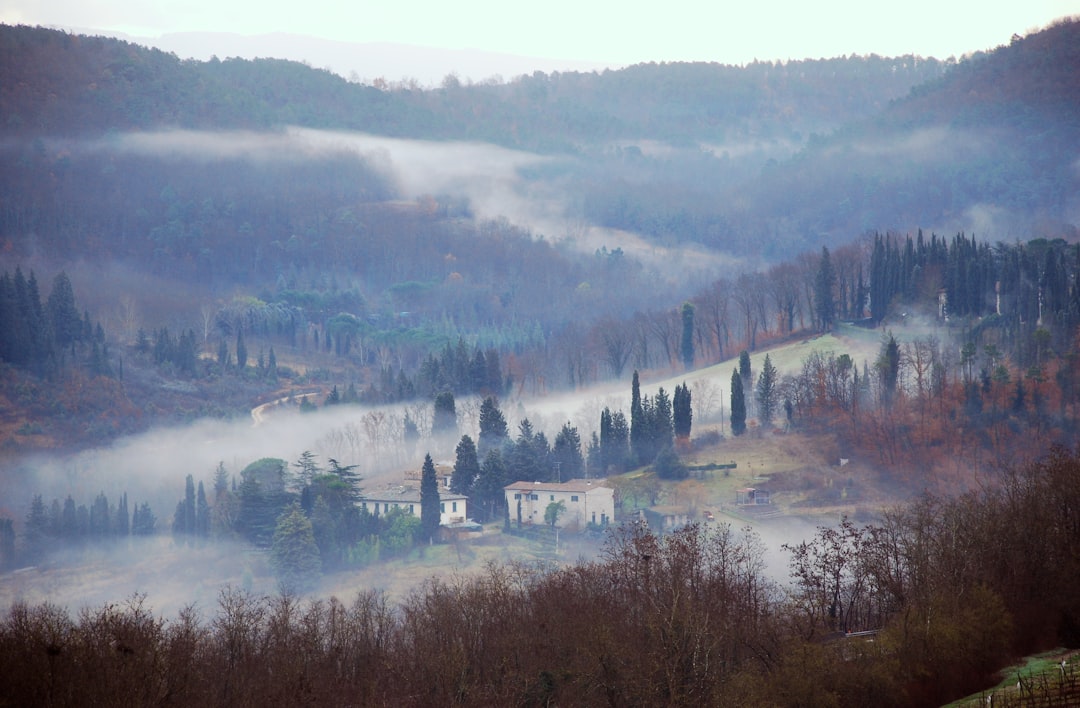 Festa della Toscana - Firenze (30 novembre) - Festa della Toscana - Firenze (30 novembre)