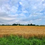 Fiorenzuola d'Arda - Fiorenzuola d'Arda