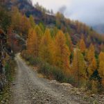 Gerola Alta - Gerola Alta