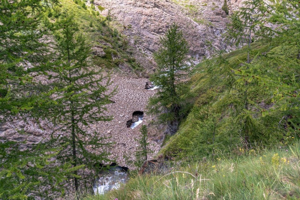 Giardino botanico alpino Paradisia (Cogne) -