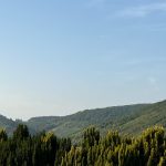 Lacchiarella - Lacchiarella