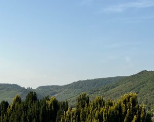 Lacchiarella - Lacchiarella