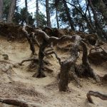 Longobucco - Longobucco