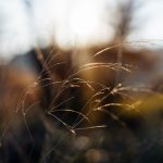 Maddaloni - Maddaloni