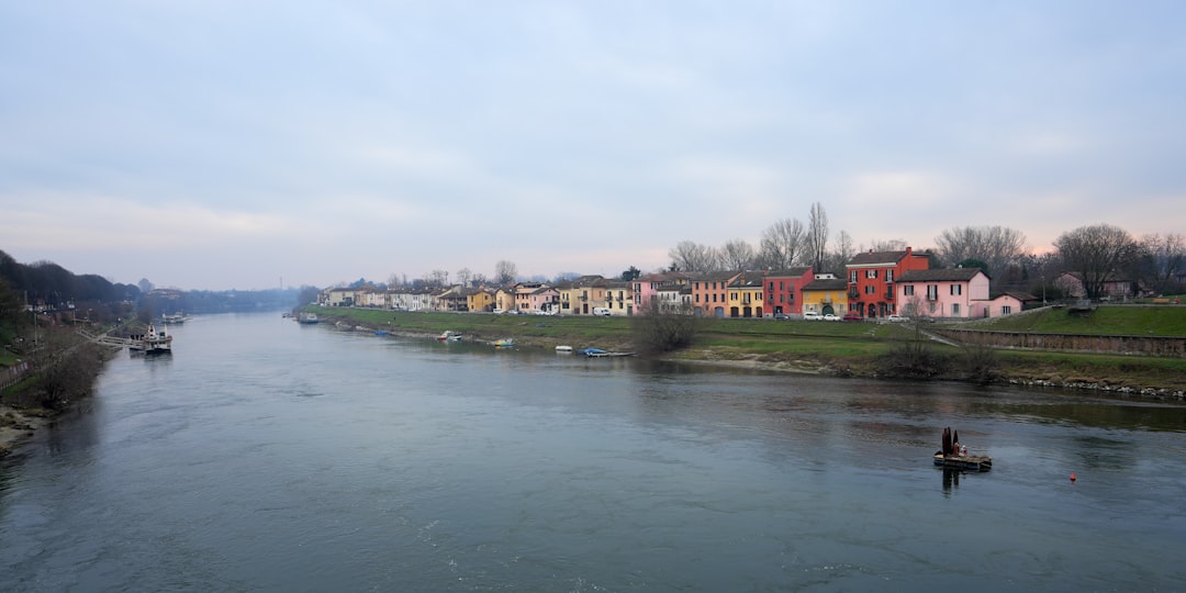 Mercatino delle Pulci a Pavia -