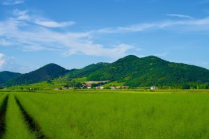 Monselice - Monselice