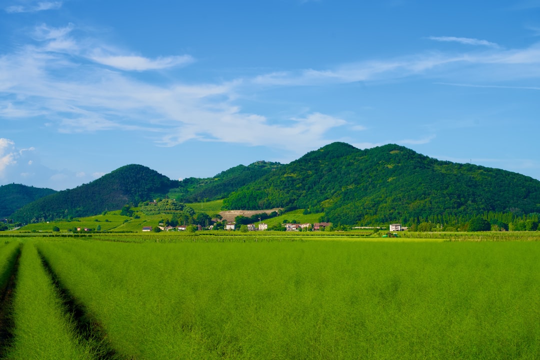 Monselice - Monselice