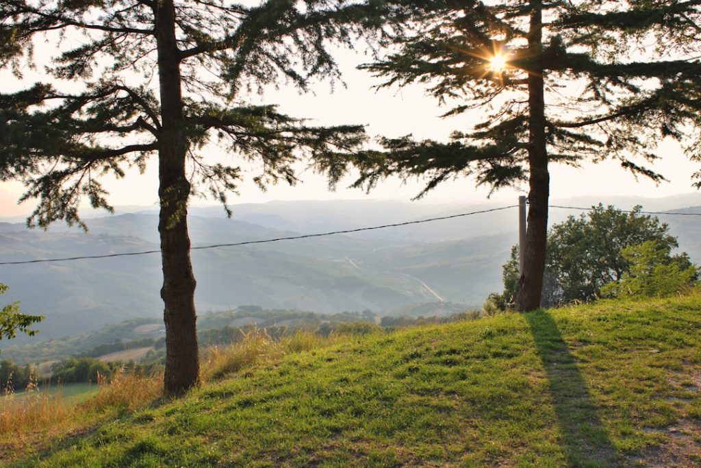 Montagano - Montagano